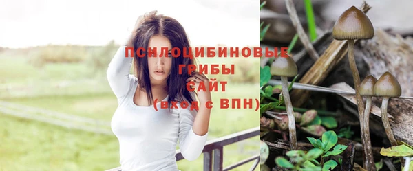 мяу мяу кристалл Иннополис