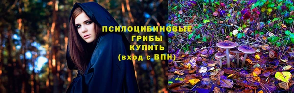стаф Каменногорск