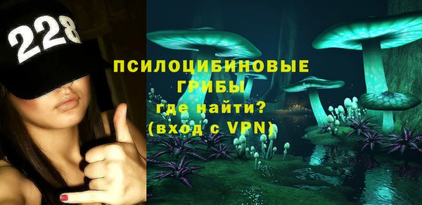 стаф Каменногорск